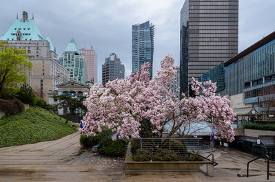 Robson Square Vancouver 05, Vancouver, 2016