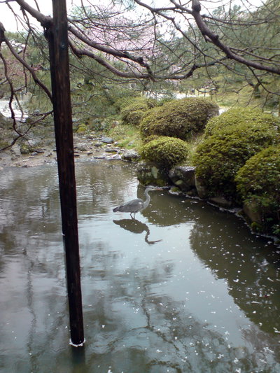 Kyoto Imperial Shrine Park, Kyoto, 2008