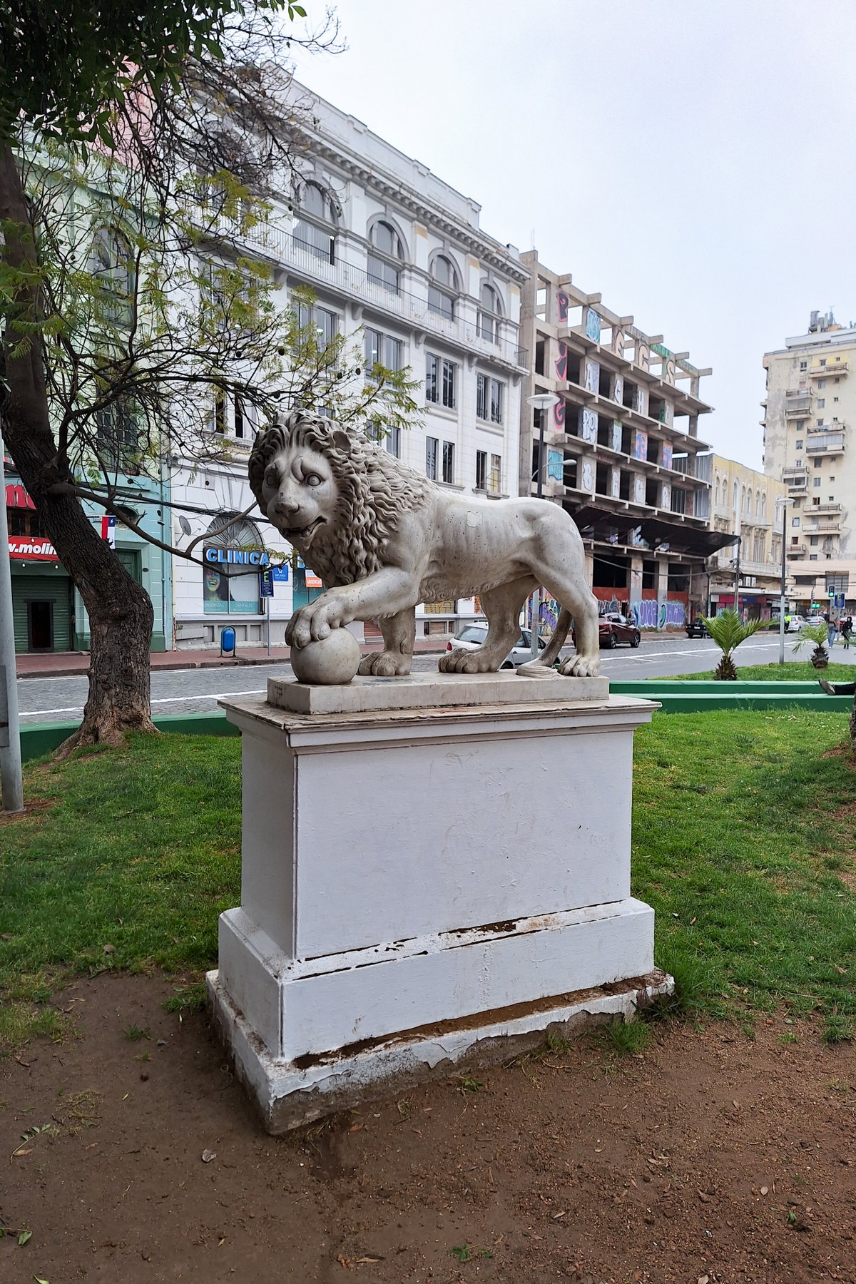 León en Parque Italia, Valparaíso, Valparaíso, Chile, 2024