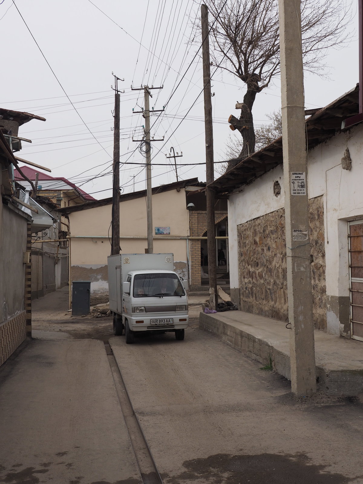 Samarkand in 2019, Samarkand, Uzbekistan, 2019