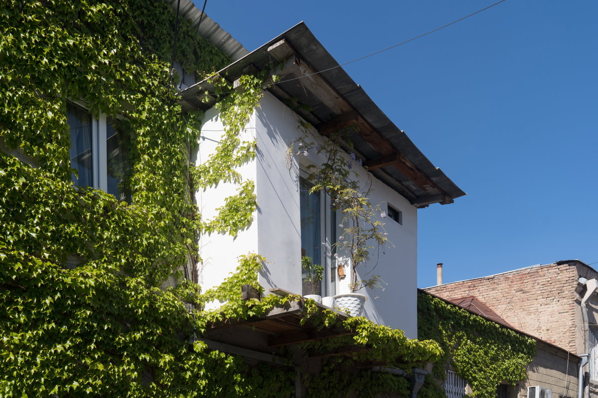 Alexandre Natishvili street, Tbilisi, Tbilisi, Georgia, 2025