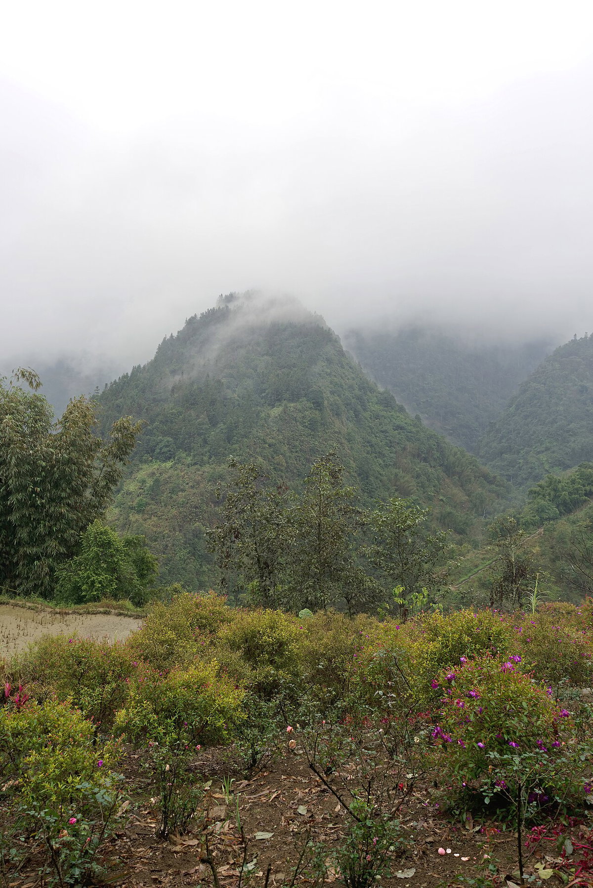 Mountains over Cat Cat village near Sa Pa, Vietnam, 1123, Sa Pa, Vietnam, 2024
