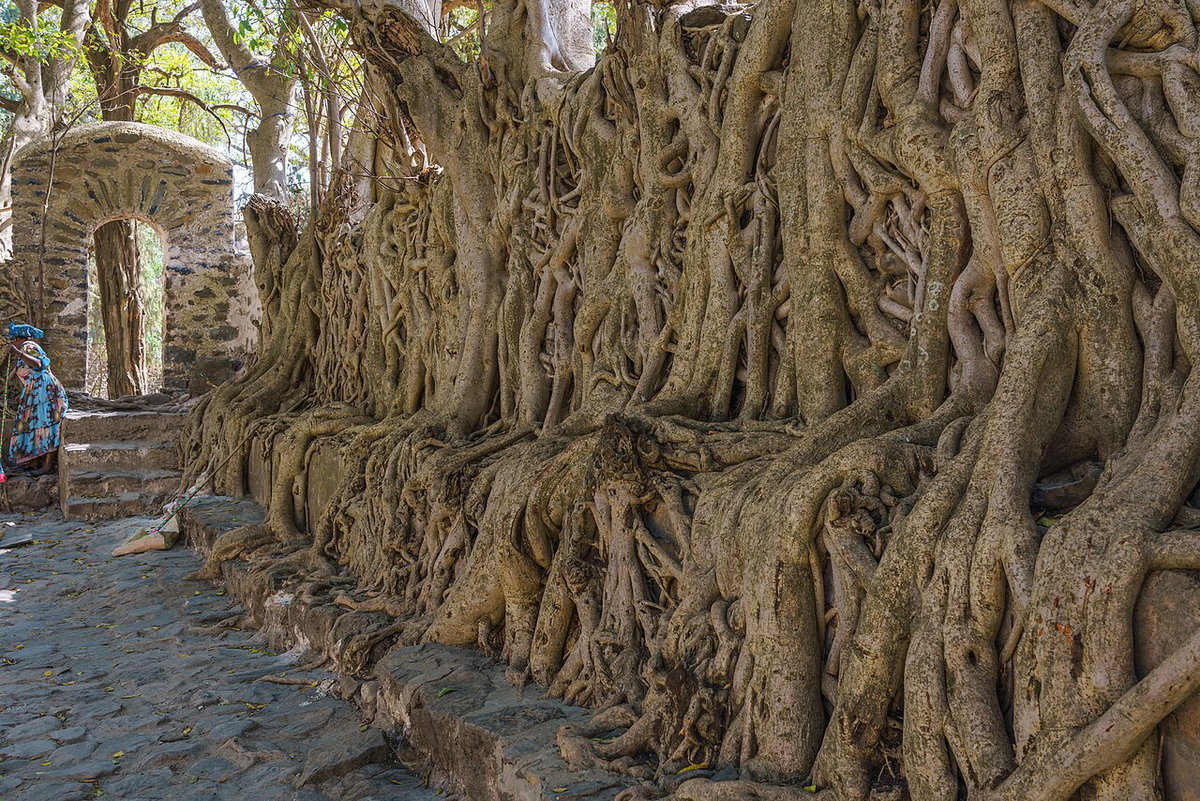 ET Gondar Fasilides Bath, Gondar, Ethiopia, 2018
