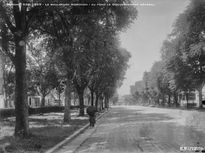 Boulevard Norodom, Saïgon (PV0015188), Ho Chi Minh City, 1925