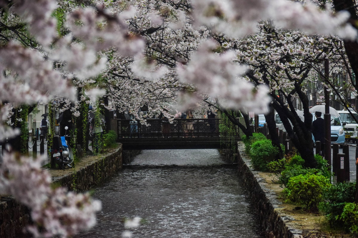 Kyoto, Japan (Unsplash kEgfUDQP-Os), Kyoto, Japan, 2017