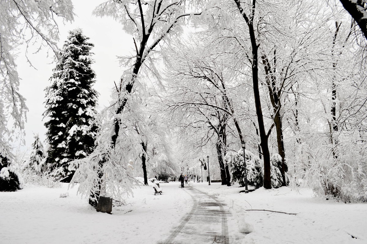 Borisova Gradina, Sofia, Bulgaria, 2015