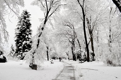 Borisova Gradina, Sofia, 2015