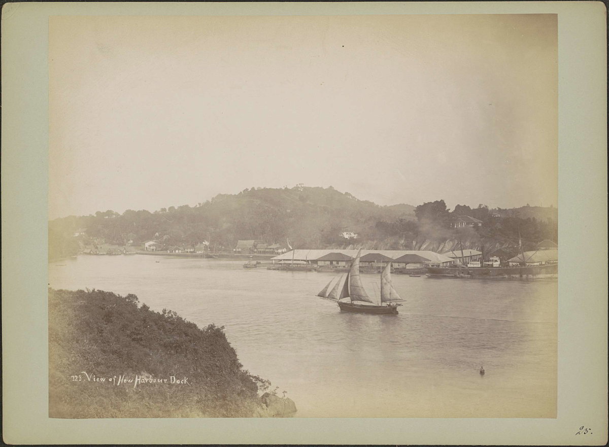 EU: View of New Harbour Dock. (1890), Singapore, Singapore, 1890