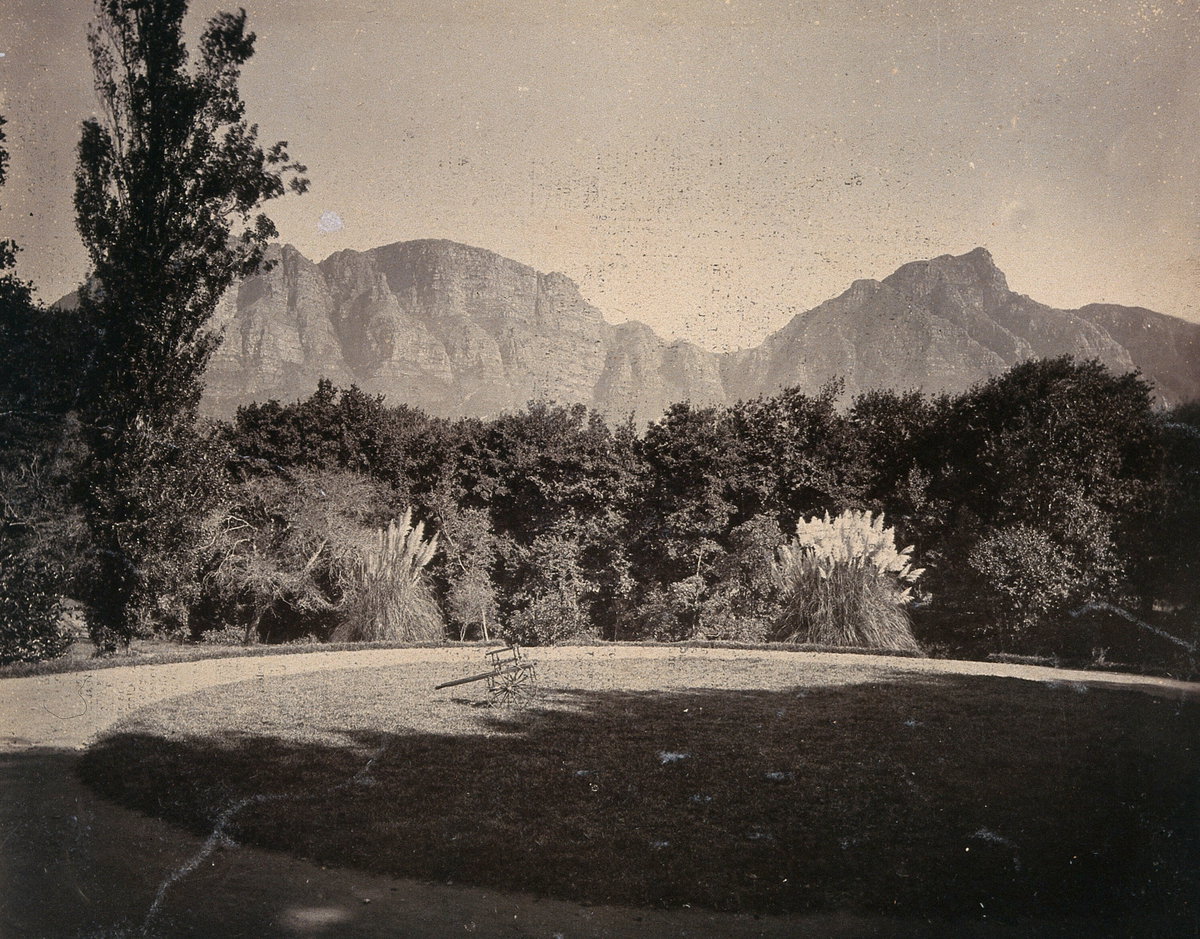 EU: Cape Town, South Africa: Table Mountain from The Vineyard Hotel (1896), Cape Town, South Africa, 1896