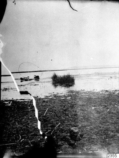 EU: reed boats, Native Americans, Shore, Lake, Photography, (1904), Puno, 1904