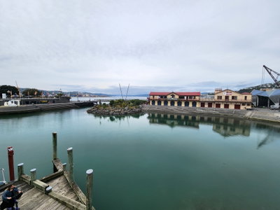 Whairepo Lagoon, Wellington, 2022