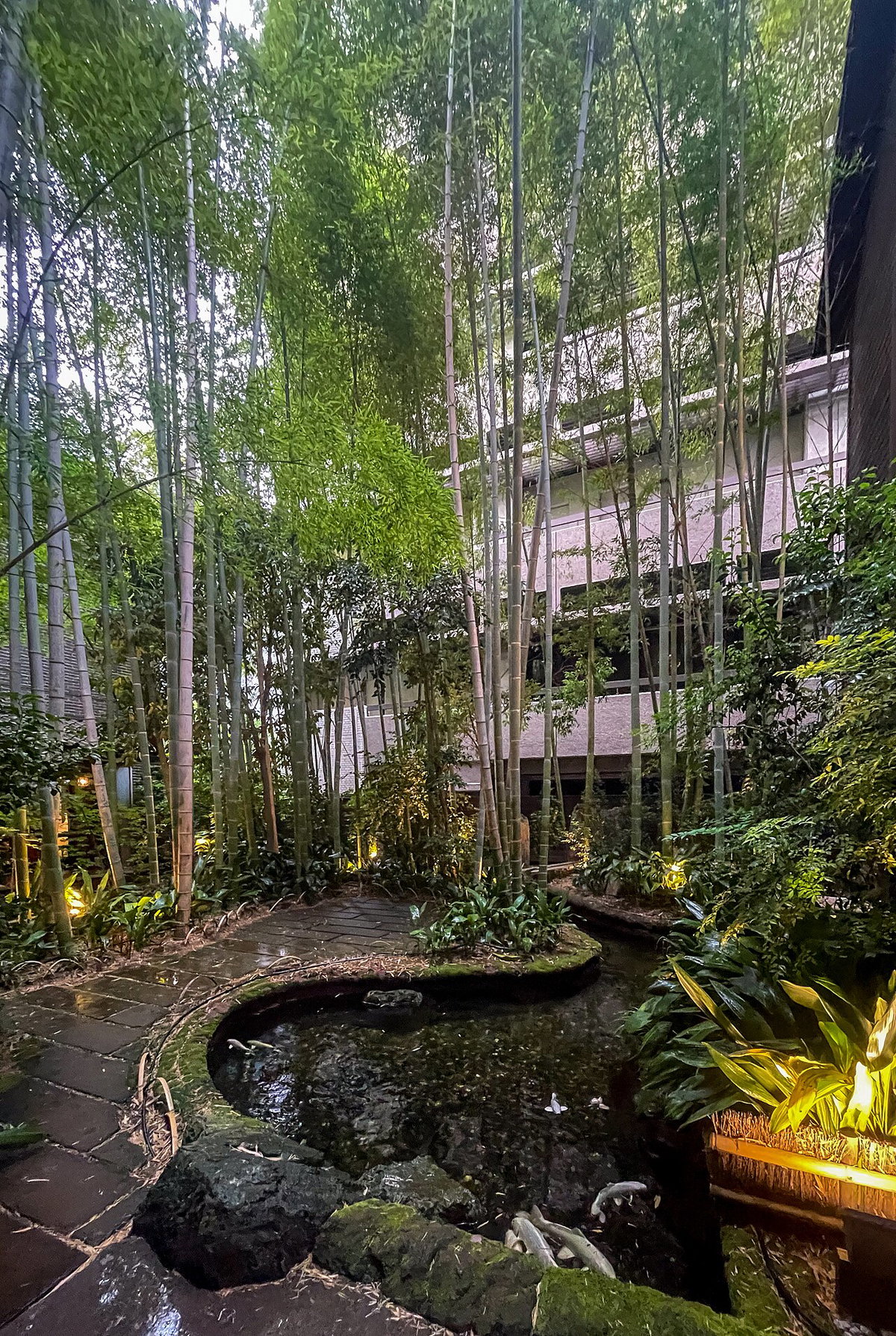 Gion in 2024, Kyoto, Japan, 2024
