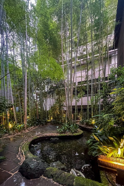 Gion in 2024, Kyoto, 2024