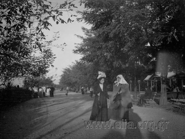 EU: Αλέα στο Βατούμ. (1901), Batumi, Georgia, 1901