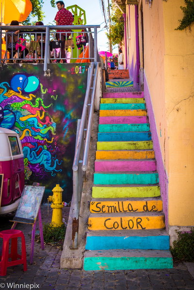 "Semilla de color" - Valparaiso, Chile, Valparaíso, 2017