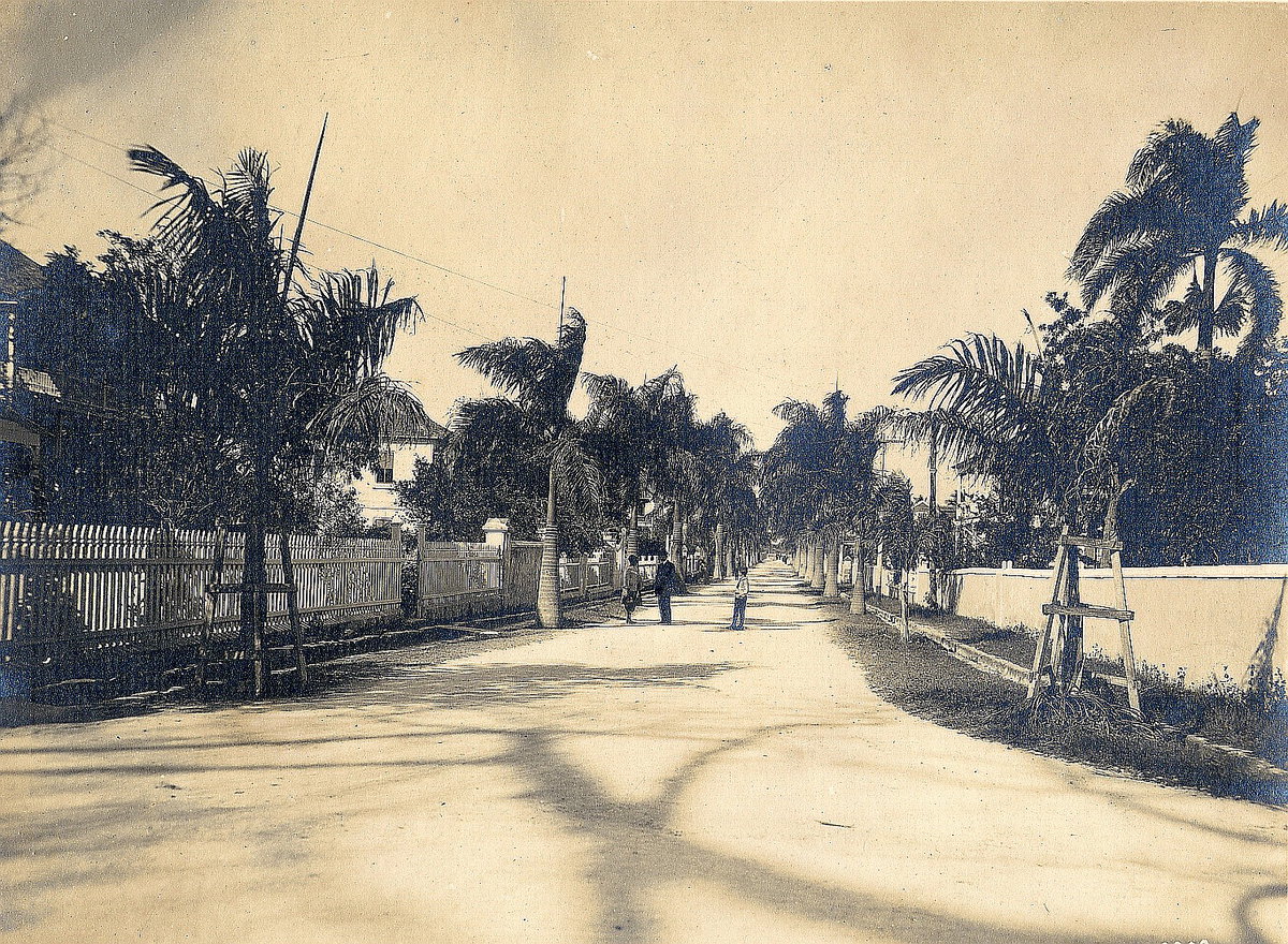 EU: Colombo, Sri Lanka. Street with houses and palm trees Colombo, Sri Lanka. Straße mit Wohnhäusern und Palmen (1911), Colombo, Sri Lanka, 1911