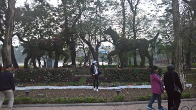 Hoan Kiem District Tết decorations, Hanoi (2018) 12, Hanoi, 2018
