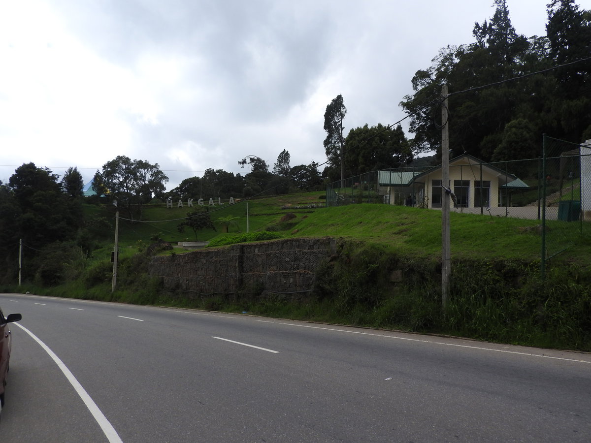 Hakgala botanical garden-4-nuwara eliya-Sri Lanka, Nuwara Eliya, Sri Lanka, 2019
