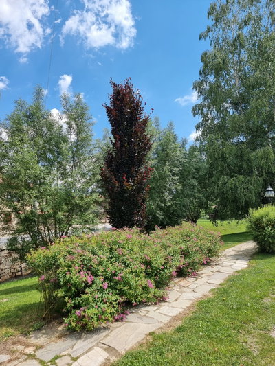 Крайречен парк „Тополница“, Koprivshtitsa, 2022