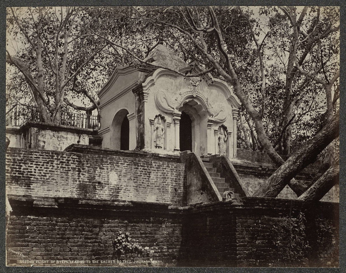 EU: Trappen leidend naar de heilige bodhiboom in Anuradhapura (1875), Anuradhapura, Sri Lanka, 1875