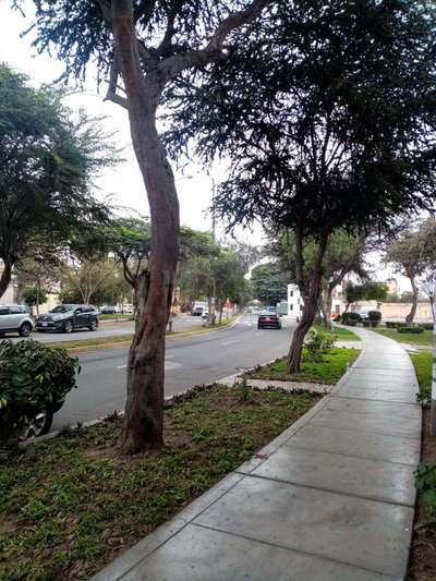 Avenida Los Colibries, Trujillo, Trujillo, 2021