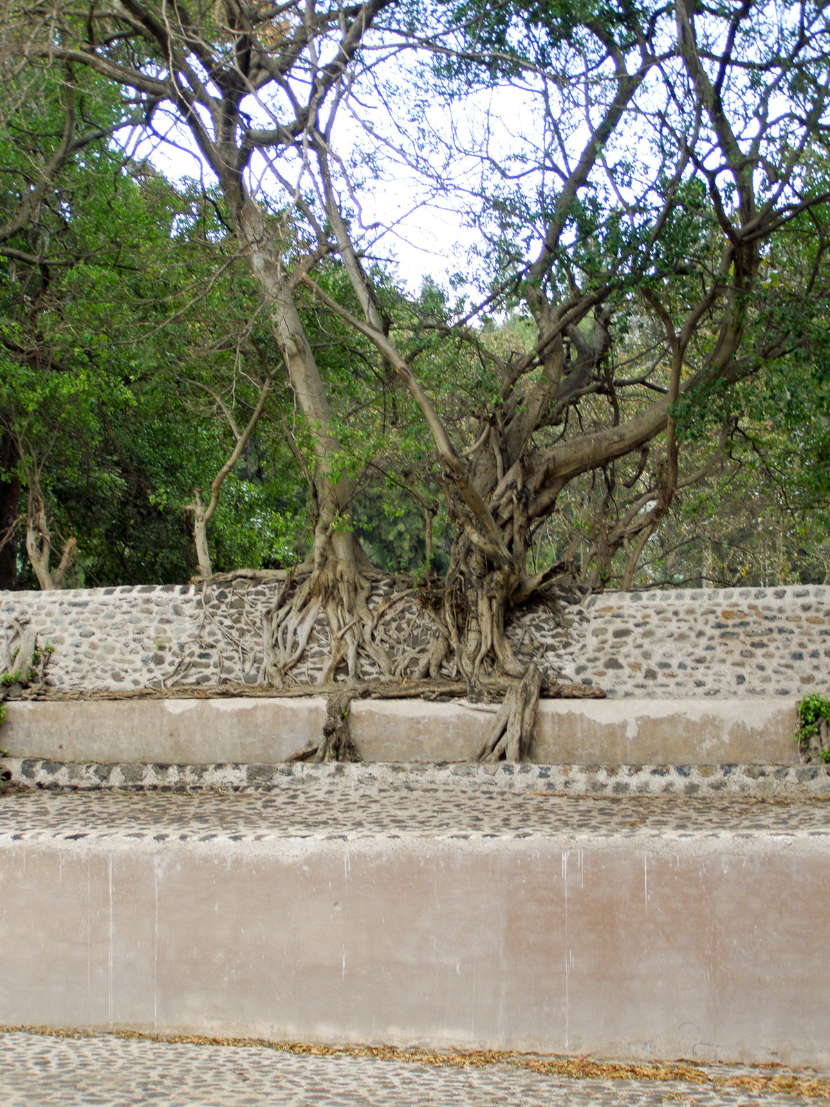 Fasilides Bath 01 in 2008, Gondar, Ethiopia, 2008