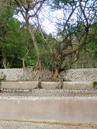 Fasilides Bath - Tower, Gondar — photos through time