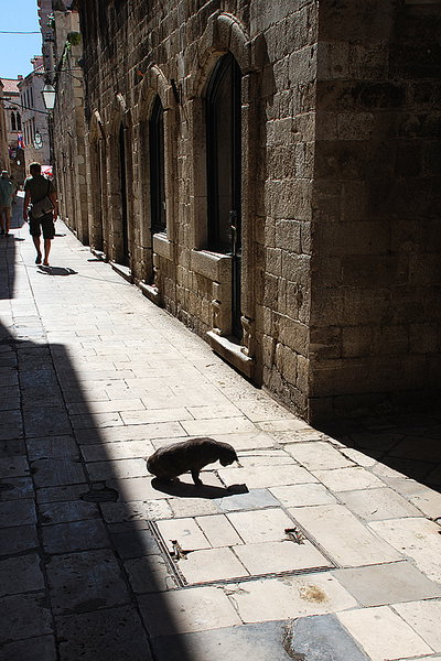 Дубровник. Старый город, Dubrovnik, 2009