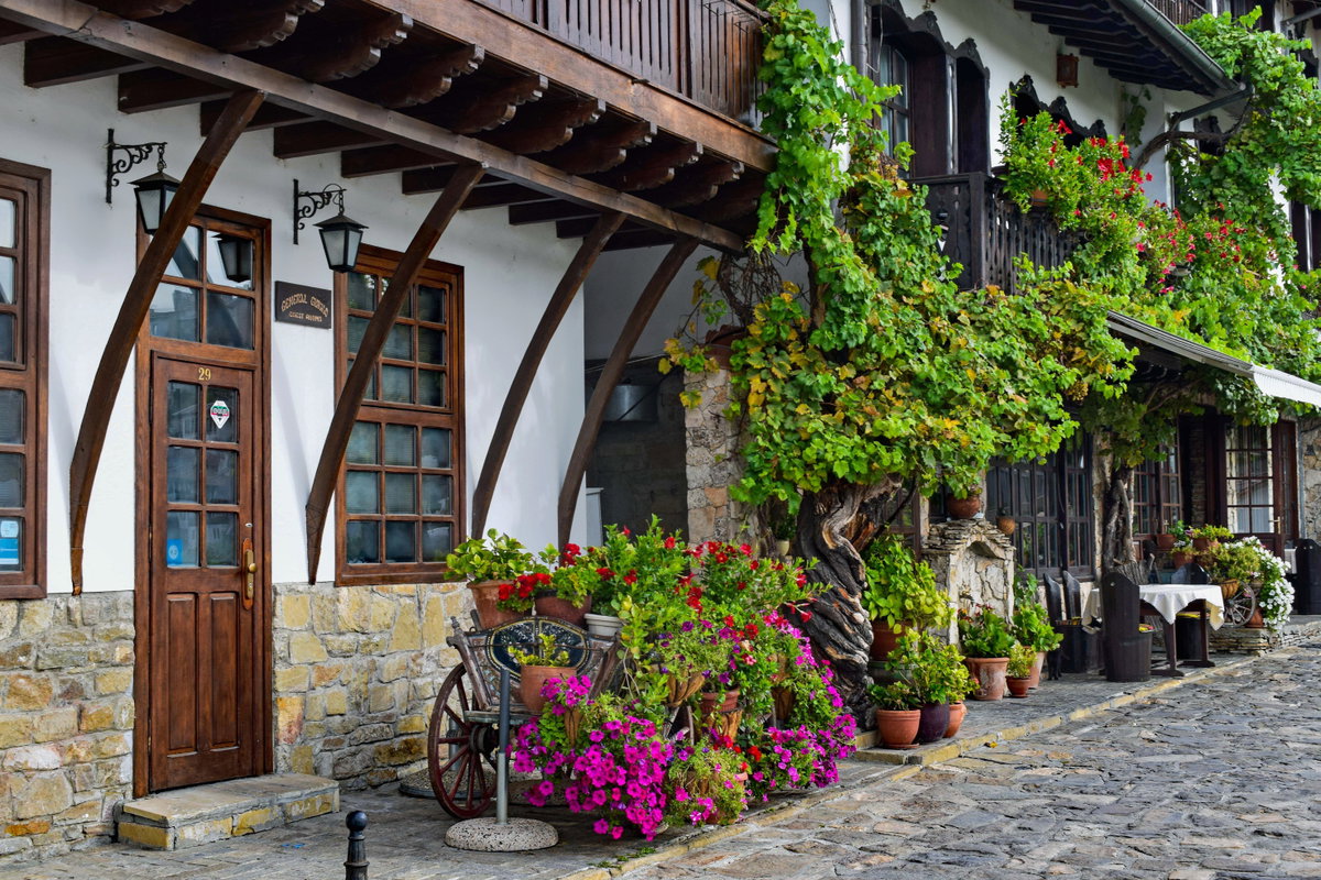 Street full of flowers, Veliko Tarnovo, Bulgaria, 2024