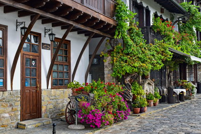 Street full of flowers, Veliko Tarnovo, 2024