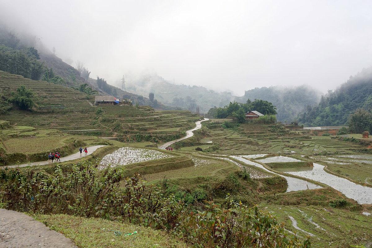 Road and paddy fields in Sa Pa, Vietnam, 1213, Sa Pa, Vietnam, 2024