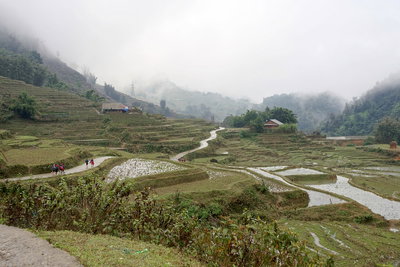 Road and paddy fields in Sa Pa, Vietnam, 1213, Sa Pa, 2024