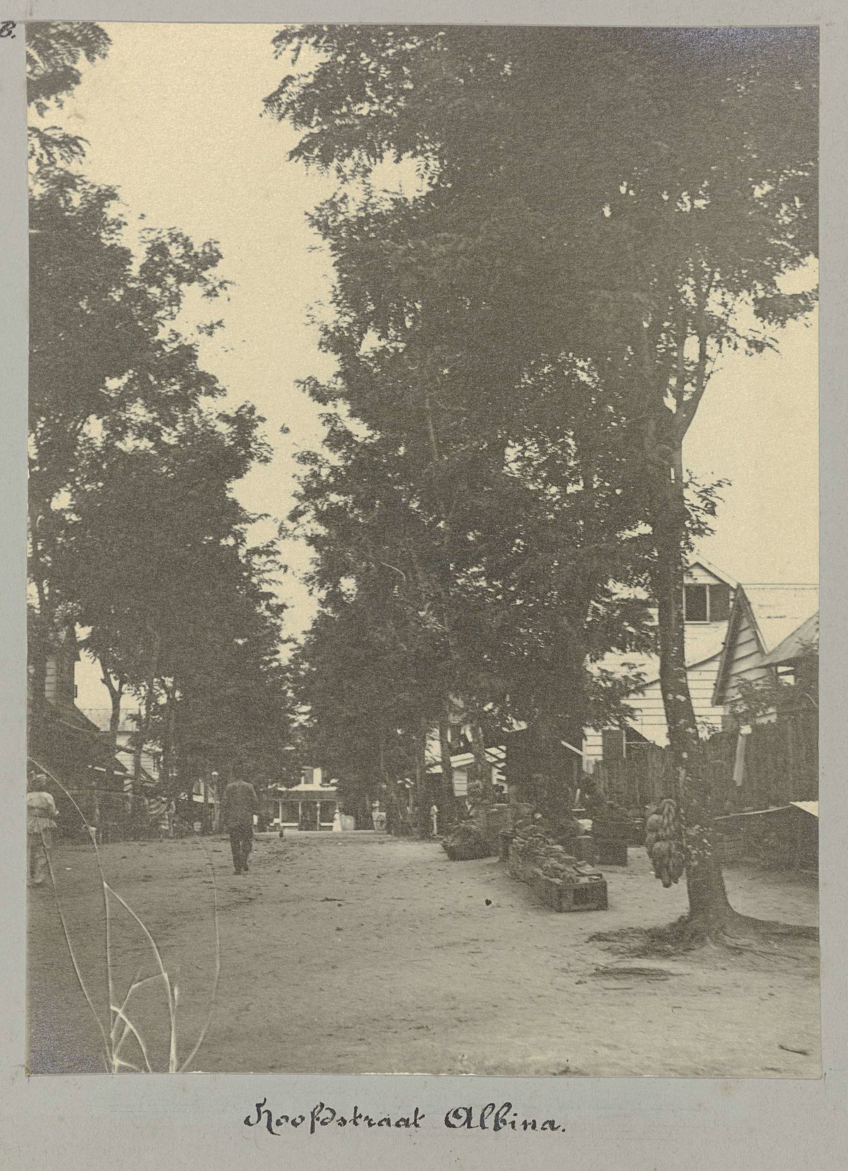 EU: Hoofdstraat Albina (1891), Albina, Suriname, 1891
