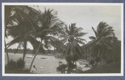 EU: Palmenstrand bij Mount Lavinia (Colombo) op Ceylon (1900), Colombo, 1900
