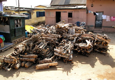 Firewood, Elmina, 2009