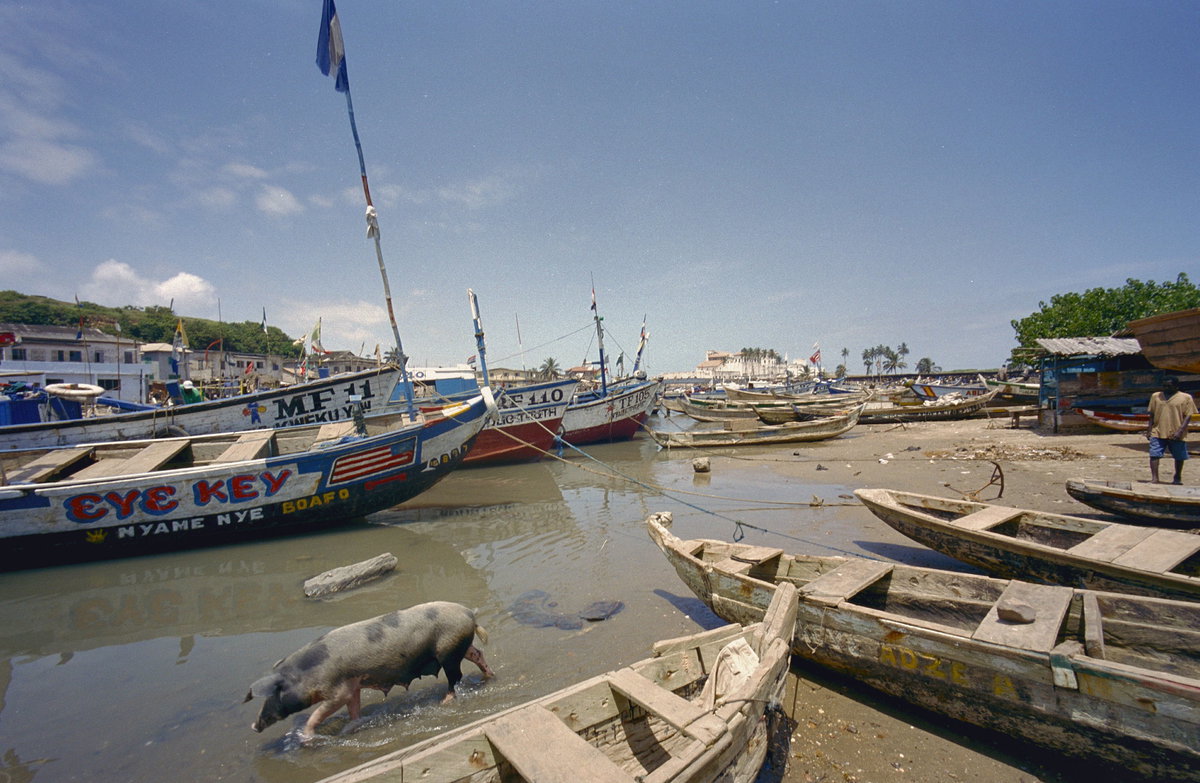 Zicht op haven met varkens op de voorgrond - Elmina - - RCE, Elmina, Ghana, 2002