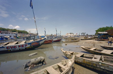 Zicht op haven met varkens op de voorgrond - Elmina - - RCE, Elmina, 2002