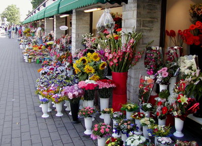 Tallinn flower market, Tallinn — photos through time