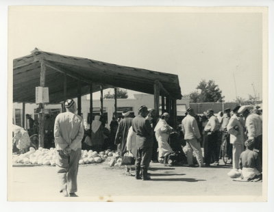 EU: Samarkand 1960, market (1960), Samarkand, 1960