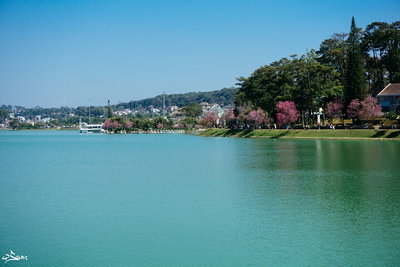 Xuân Hương Lake, Da Lat, 2015