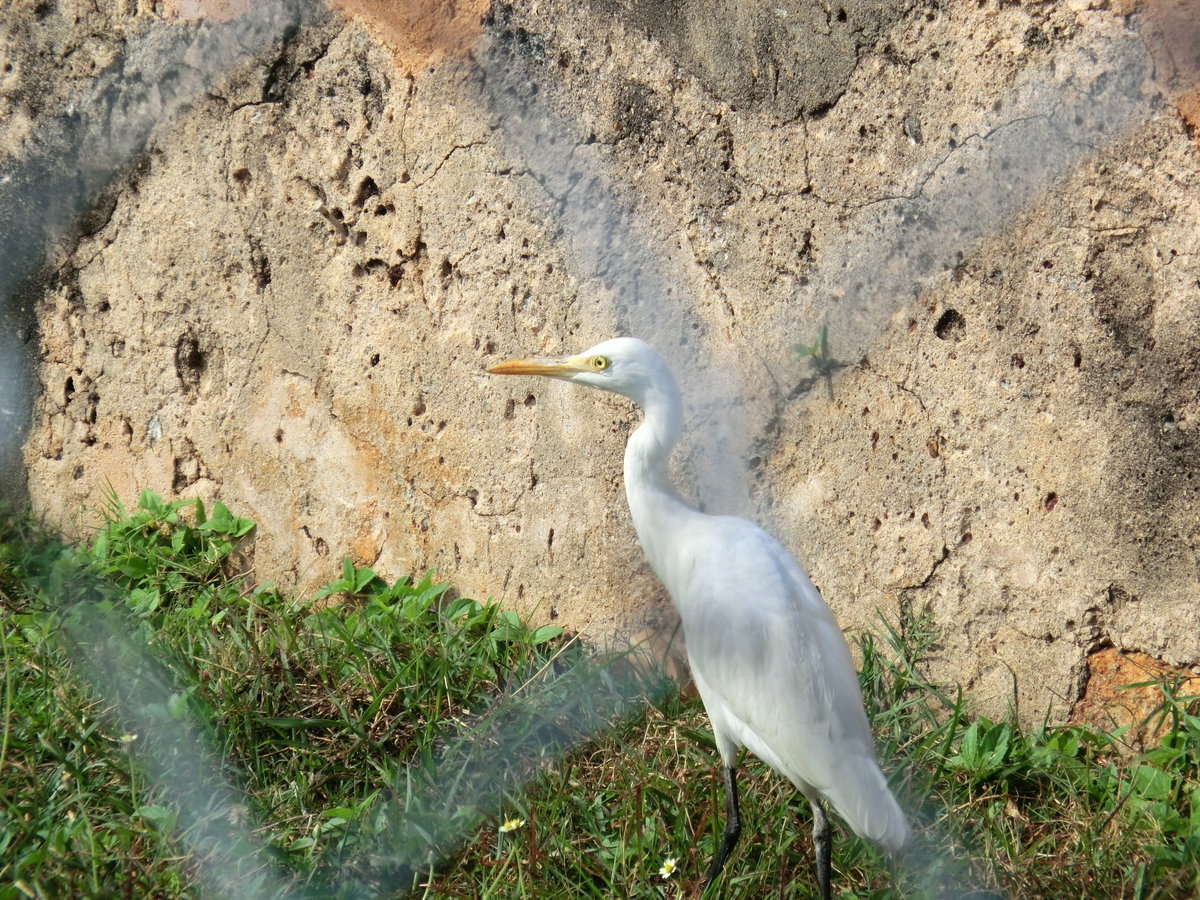 Fort, Galle 80000, Sri Lanka, Galle, Sri Lanka, 2012