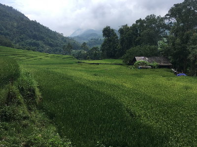 Rice terraces in Sa Pa 01, Sa Pa, 2018