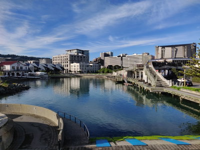 Whairepo Lagoon from Frank Kits park, Wellington, 2018