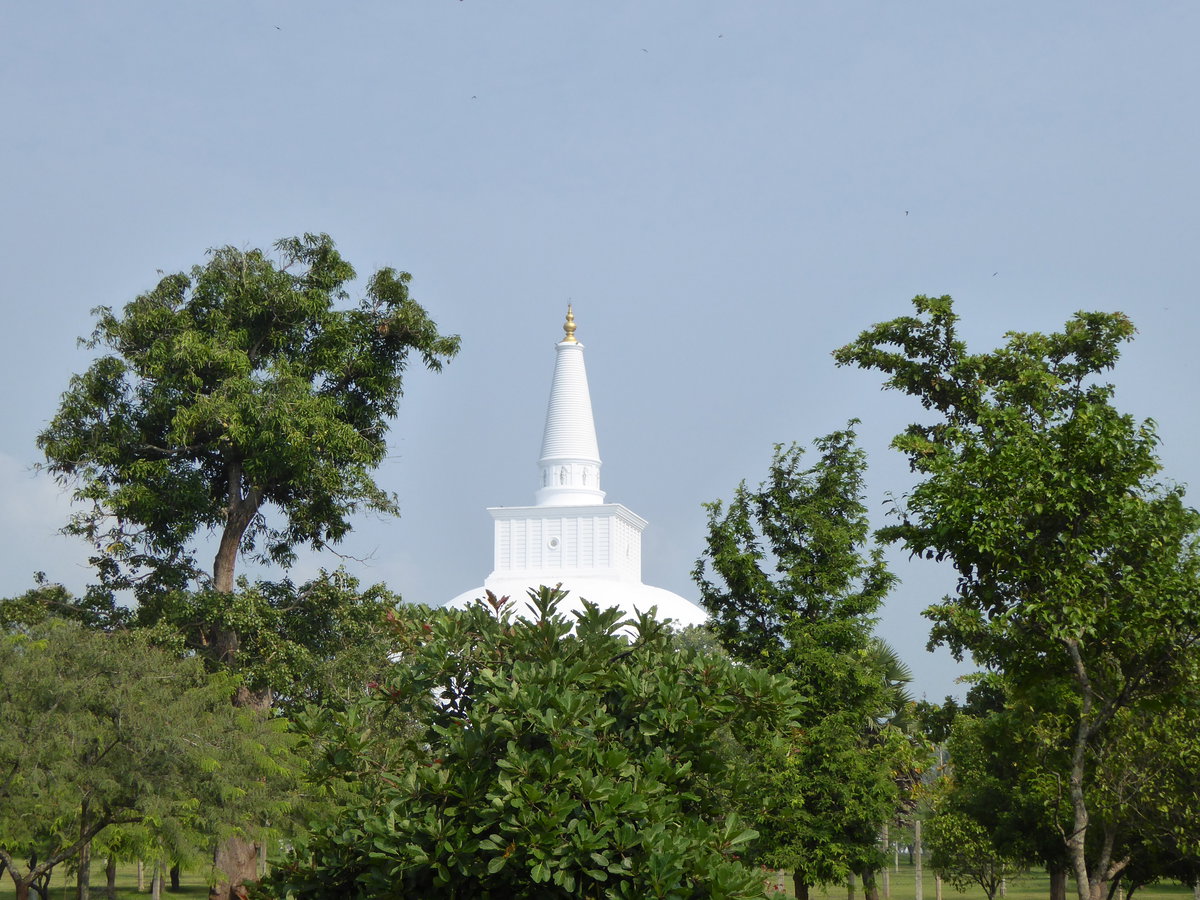 Sri Lanka, Anuradhapura, Sri Lanka, 2014