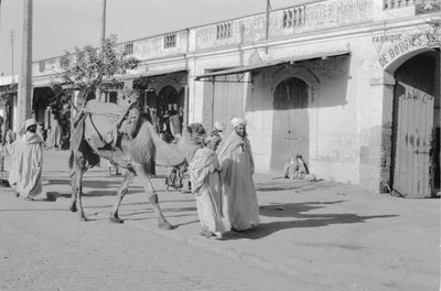 EU: Reisefotos Marokko. Straßenbild mit Kamelführer (wahrscheinlich in Casablanca) #019 (1939), Casablanca, 1939