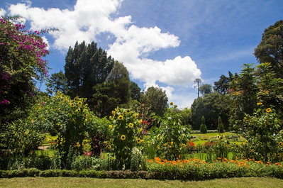 Victoria park, Nuwara Eliya, Nuwara Eliya, 2015