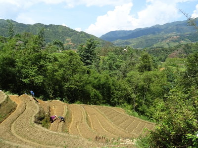 Farmers in Sa Pa 1, Sa Pa, 2018