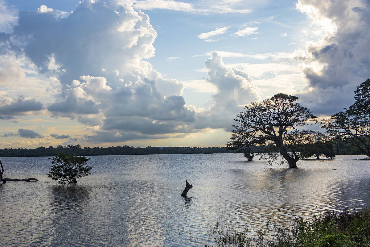 Basawakkulama Tank, Anuradhapura, Sri Lanka, 2019