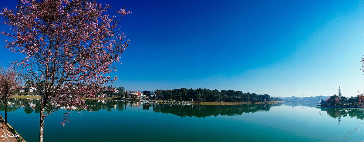 Xuân Hương Lake, Da Lat, Vietnam, 2015