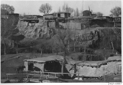 EU: hus, häst, träd, fotografi, photograph (1893), Tashkent, 1893